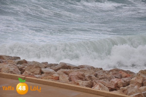 yaffa rain 1211 (5).JPG